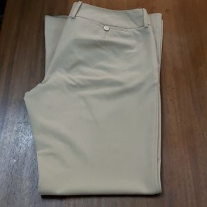 The Limited Dress Pants